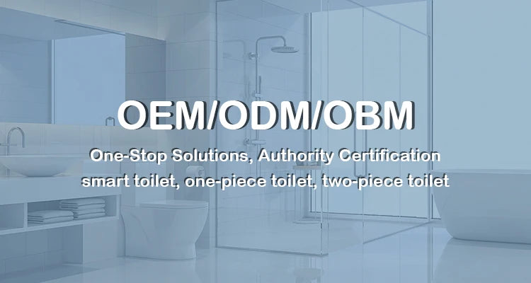 E136  Golden Toilet,Modern One-Piece Ceramic Toilet Bowl With S-Trap Drainage Dual-Flush Floor Mounted White Gold Color