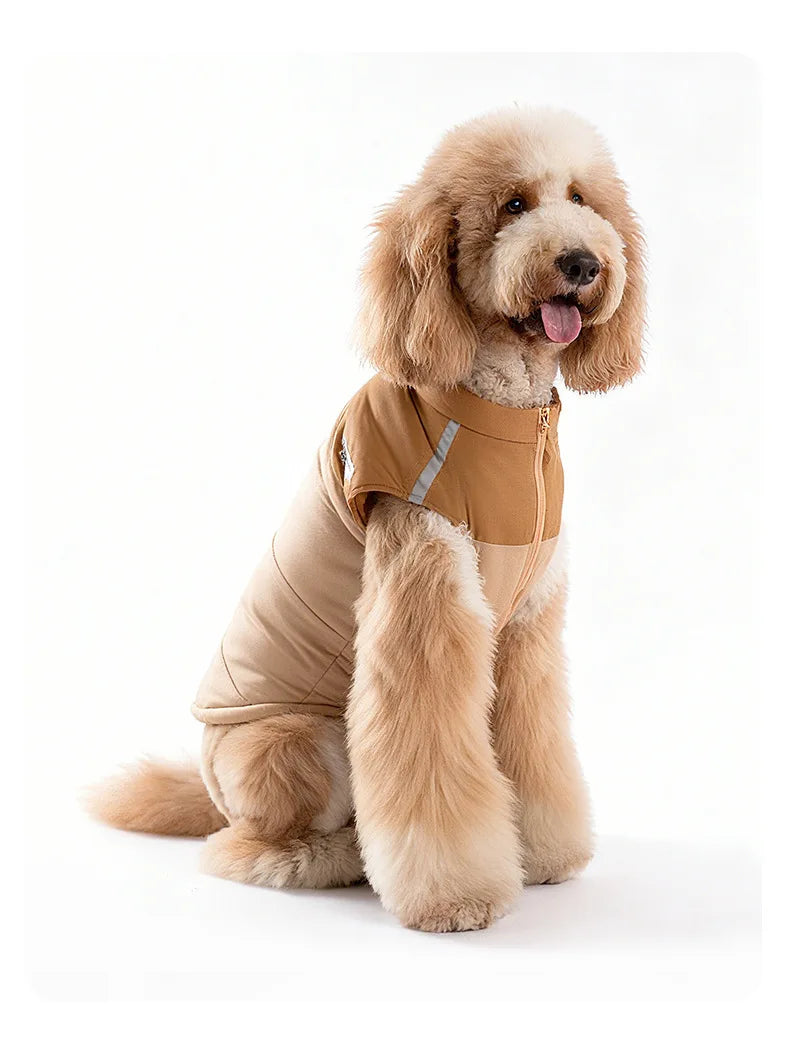 Winter warm pet clothes, trendy autumn and winter dog clothes, thickened dog cotton coat, cute