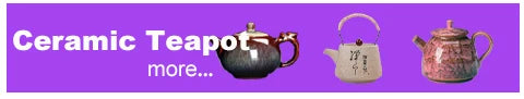 Large Capacity Japanese Type Lifting Beam Pot 1000ml Chinese Teapot Puer Tea Kettle Tea Set and Coffee Teaware Teapots Cup Mug
