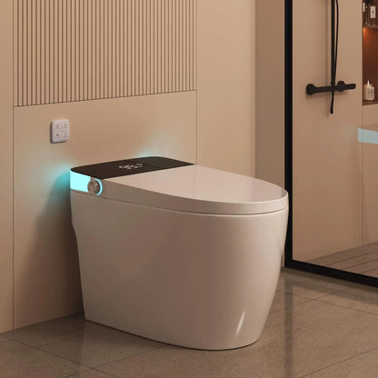 Smart Toilet Heated Seat Auto Flush & Soft-Close Lid Elongated One Piece Light
