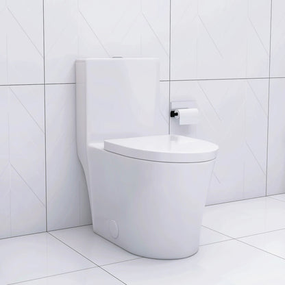 Matte Black Elongated One Piece Toilet Dual Flush 1.1/1.6 GPF Water Saving Map 1000g,Matte Black
