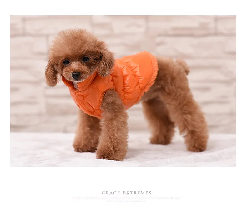 Winter Pet Dog Down Coat Fleece Warm Inside Candy Color Pet Down Warm Coat Puppy Down Clothes Winter Clothes Clothing XS-3XL