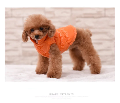 Winter Pet Dog Down Coat Fleece Warm Inside Candy Color Pet Down Warm Coat Puppy Down Clothes Winter Clothes Clothing XS-3XL