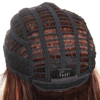 Sleek Highlight Lace Front Wig For Women 13x4 Lace Front Brazilian Hair Wigs Straight Colored Lace Wigs 18 Inch Long Lace Wigs