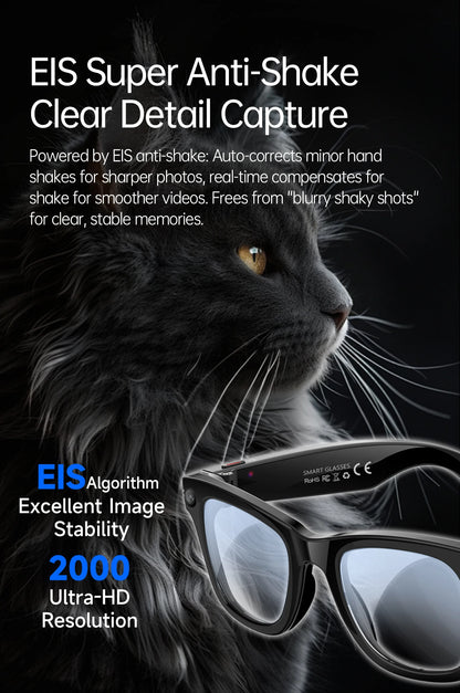 AI Smart Glasses 5 Million Pixels Recording Videos Photo Recognition Answer Translation 290mAh IP66 Waterproof Bluetooth Glasses