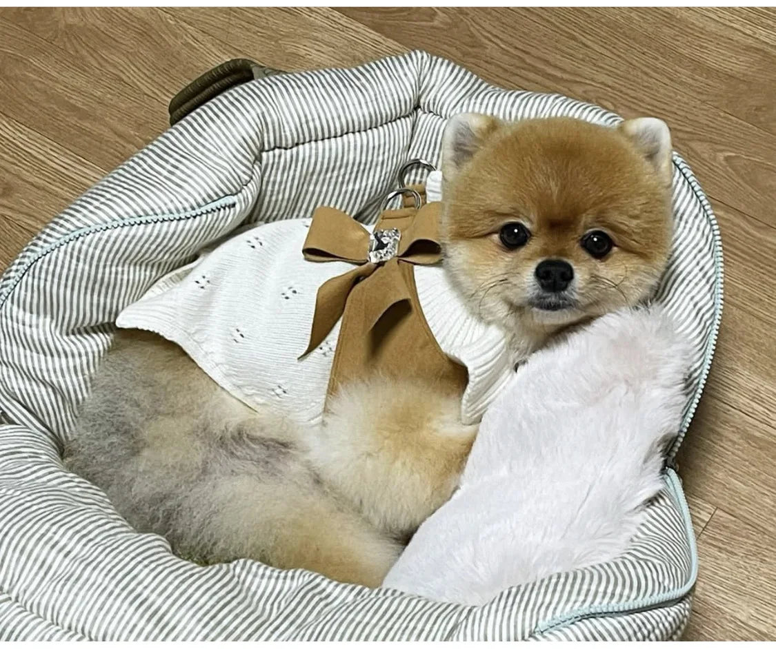 Luxury Pet Dog Cashmere Lotus Collar Knit Soft Wool Undercoat Cat Sweater Dog Clothes for Small Dogs Dog Winter Clothes Sweater