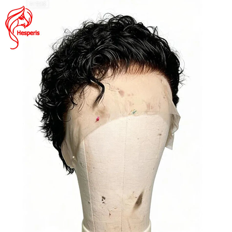Hesperis Male Lace Front Curly Wig 13x6 Short Cut Human Hair Male Wigs Natural Color Pre-Styled Remy Hair Boy's Wig For Men