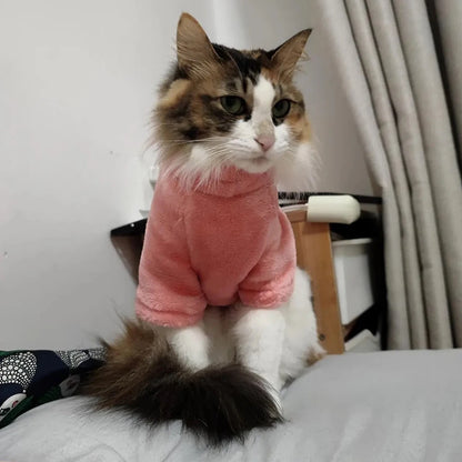 Soft Warm High Neck Fleece Pet Cat Hoodie Kitten Coat Sphynx Clothing without Hat for Cats Autumn Winter Pet Clothes Outfits