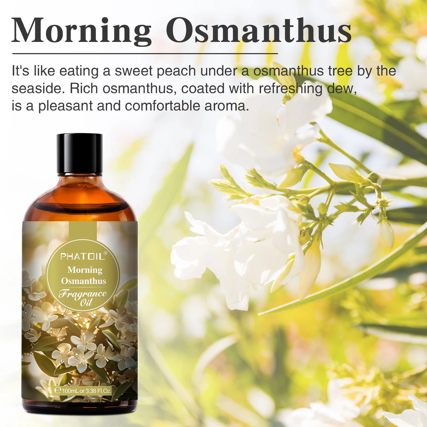 PHATOIL 100ML with Dropper Fragrance Oil For Diffuser Fruit Carnival Almond Vanilla Golden Vintage No.1 Lucifer's Letter Oils