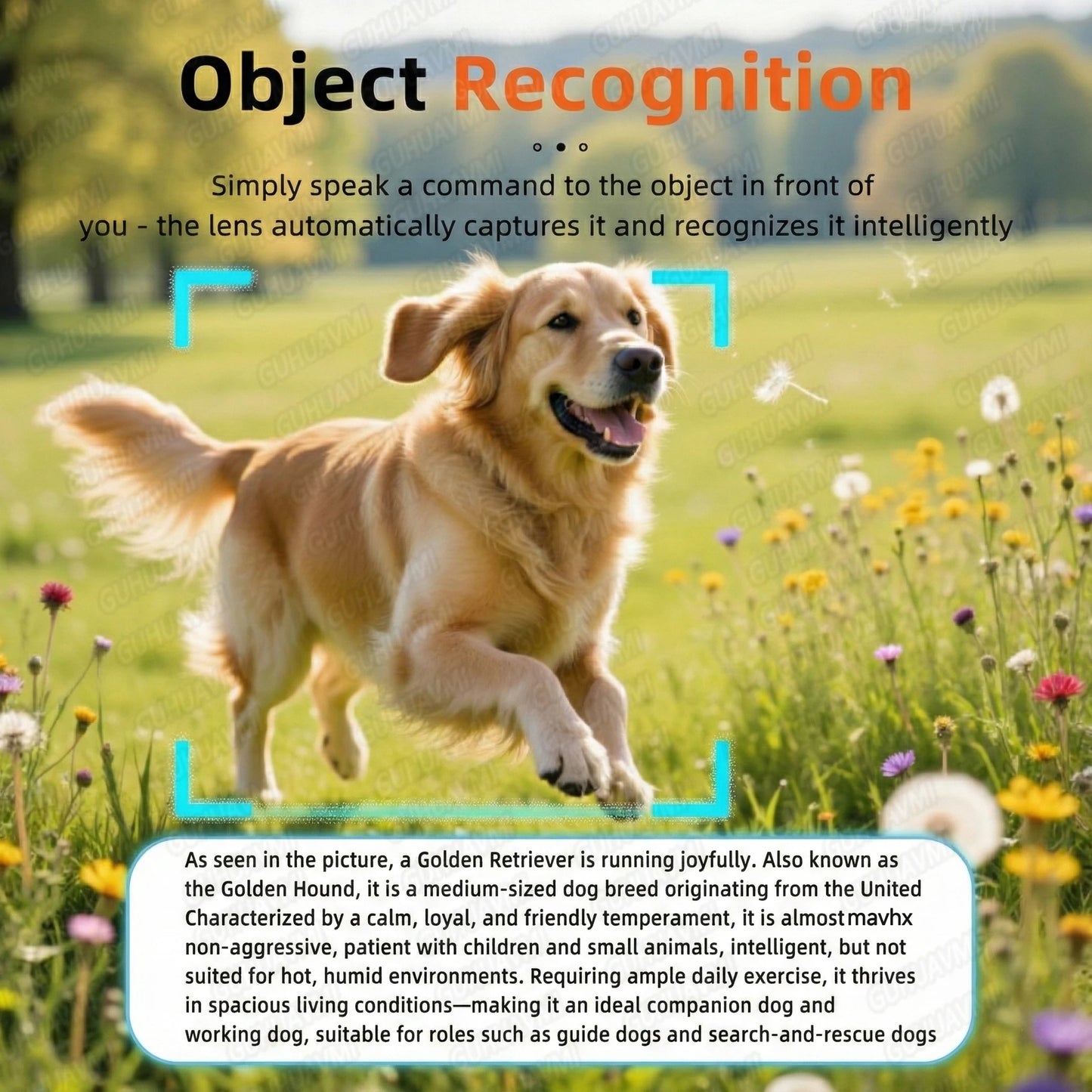 Smart Video Sunglasses 1200P 30fps Action Camera 32GB WiFi App Transfer Dual Anti-Shake AI Object Identify Fast Charge Glasses