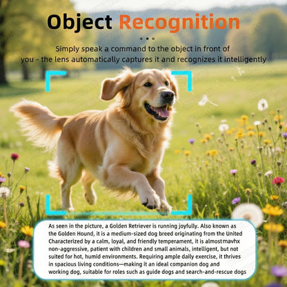 Smart Video Sunglasses 1200P 30fps Action Camera 32GB WiFi App Transfer Dual Anti-Shake AI Object Identify Fast Charge Glasses