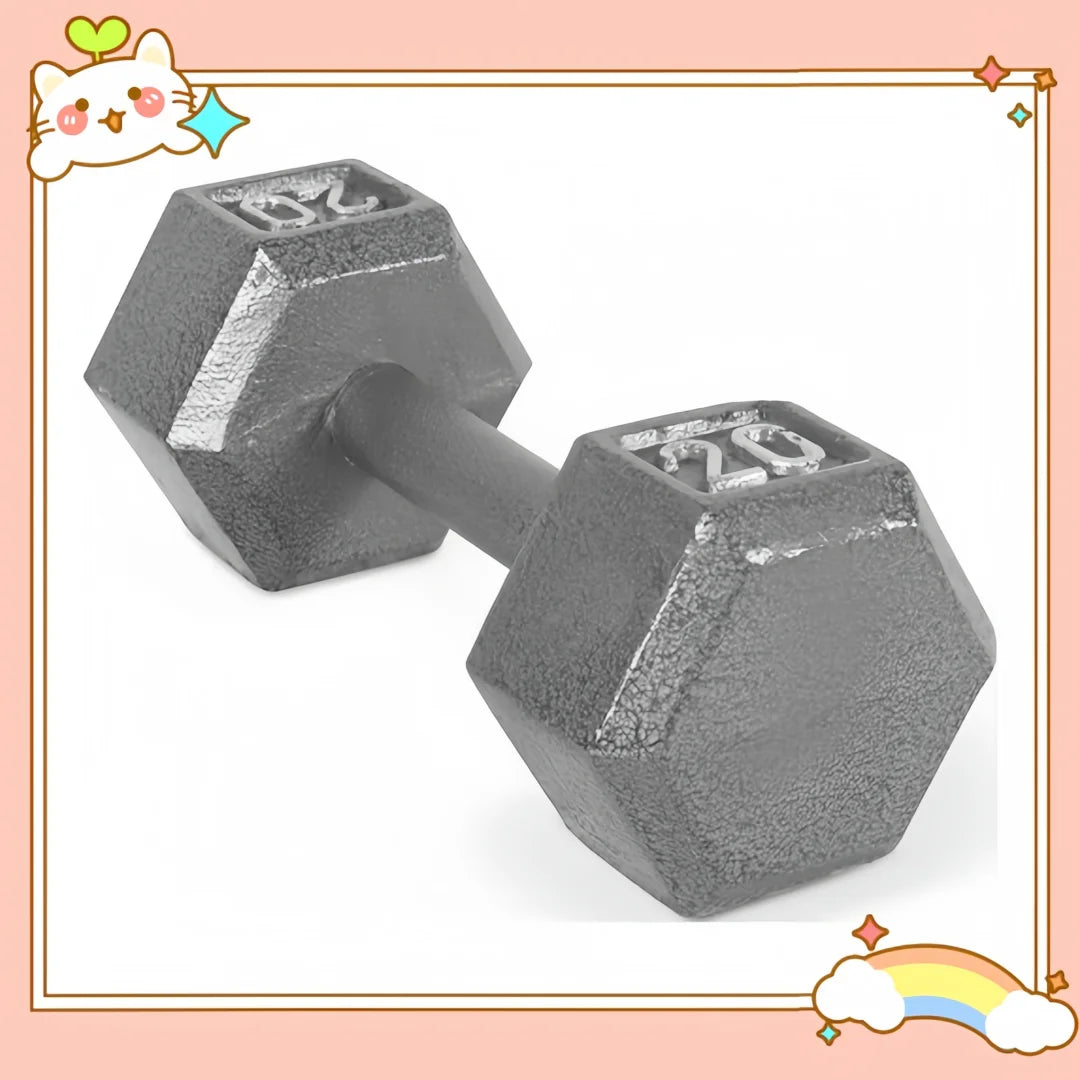 20lb Hex Dumbbell for Home Gym, Strength Training, Fitness Equipment for Men & Women