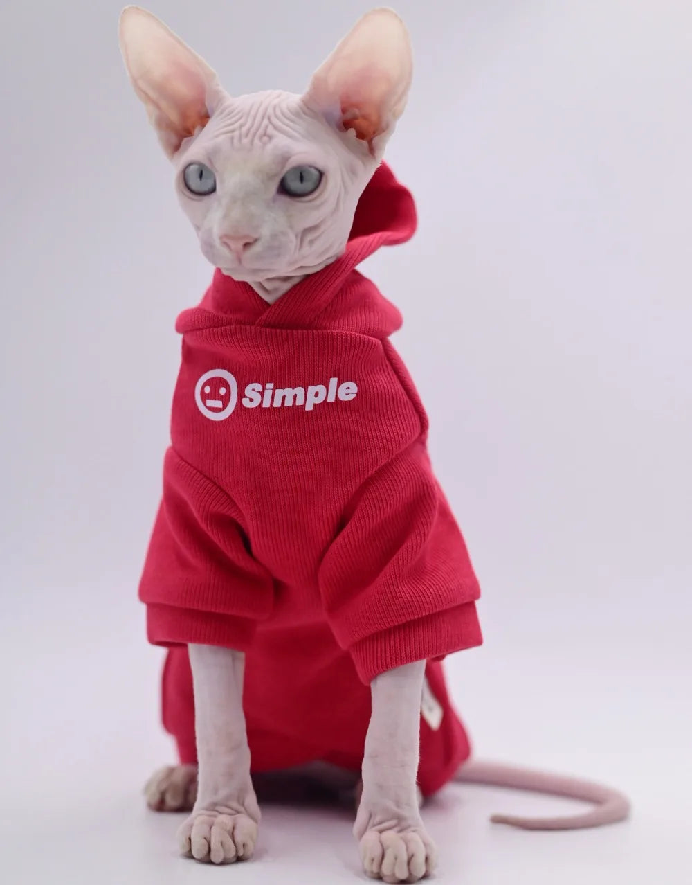 Hairless Sphynx Cat Apparel, Kitty Clothes, Bald Cat Outfits, Autumn and Winter Apparel