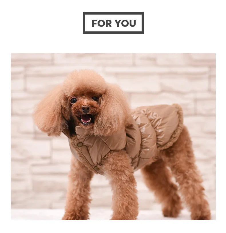 Winter Pet Dog Down Coat Fleece Warm Inside Candy Color Pet Down Warm Coat Puppy Down Clothes Winter Clothes Clothing XS-3XL