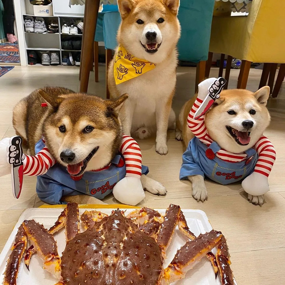 Halloween Pet Cosplay Costume Dog Dress for Small & Medium Dogs – Fun & Stylish Outfit Dogs Cats Pet Playing with Funny Clothes