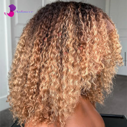 Curly Afro Wig Black Roots Honey Blonde Curly Wig For Black Women Human Hair Afro Kinky Curly Lace Front Wig Frontal Wig 360