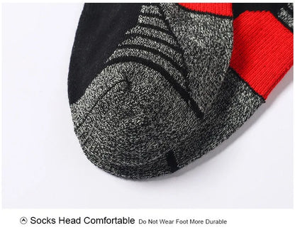 5 Pairs Men's Four Season Cotton Breathable Sports Socks Set Male Sport Ankle Socks Basketball Running Socks For Men
