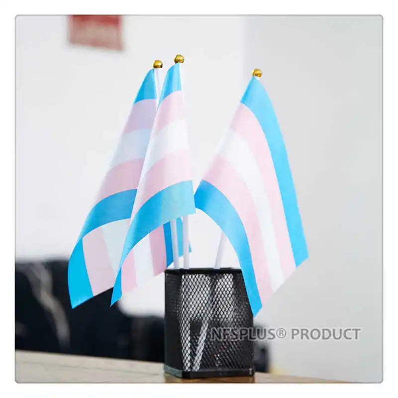 10 Pack Handheld Transgender Flag LGBT Trans Pride Banner 14x21cm With Small Stick Flagpole For Decoration Celebration Parades