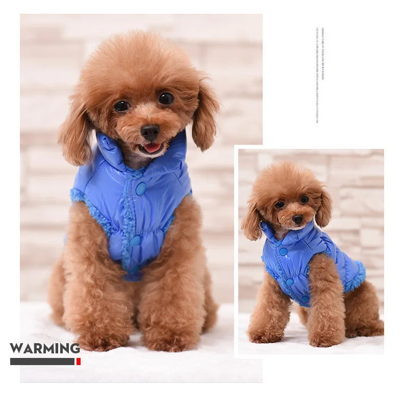 Winter Pet Dog Down Coat Fleece Warm Inside Candy Color Pet Down Warm Coat Puppy Down Clothes Winter Clothes Clothing XS-3XL