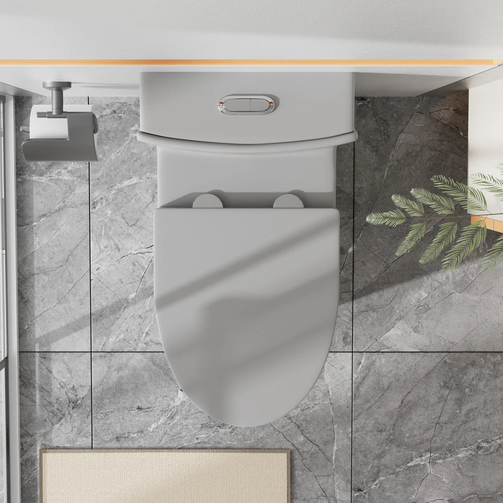 Matte Black Elongated One Piece Toilet Dual Flush 1.1/1.6 GPF Water Saving Map 1000g,Matte Black