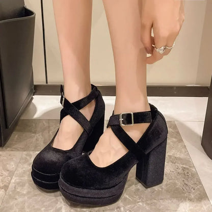 Platform Mary Janes Shoes Women Suede Luxury High Heel Lace Up Trend Lolita Shoes Elegant Chunky Party Pumps Zapatos De Mujer