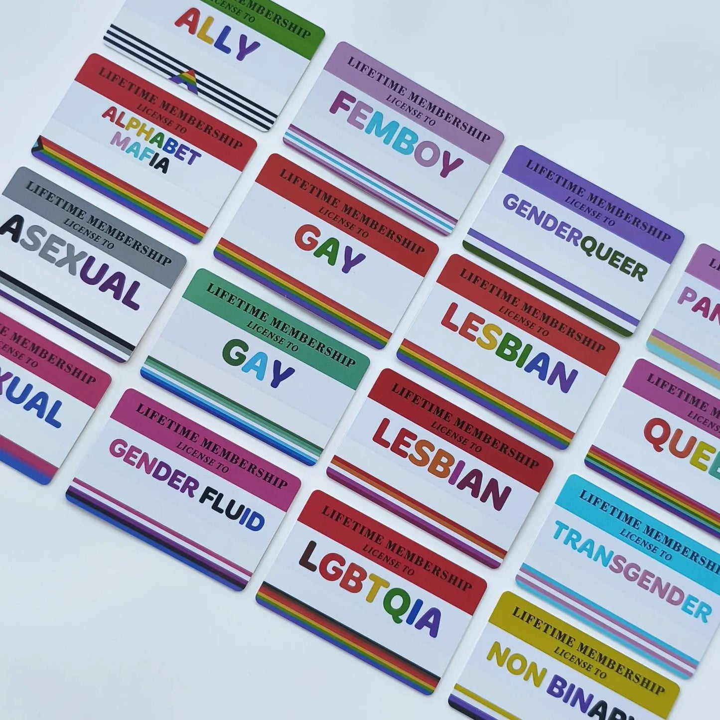 Writable LGBTQIA Identity Card LGBT Pride Cards Lifetime Membership Card perfect rainbow community gift