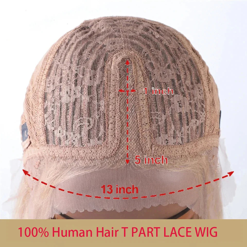 Sleek Straight Lace Front Wigs 13x6x1 Lace Part Human Hair Wig For Women Transparent Lace Highlight Blonde Big Sale Remy Hair