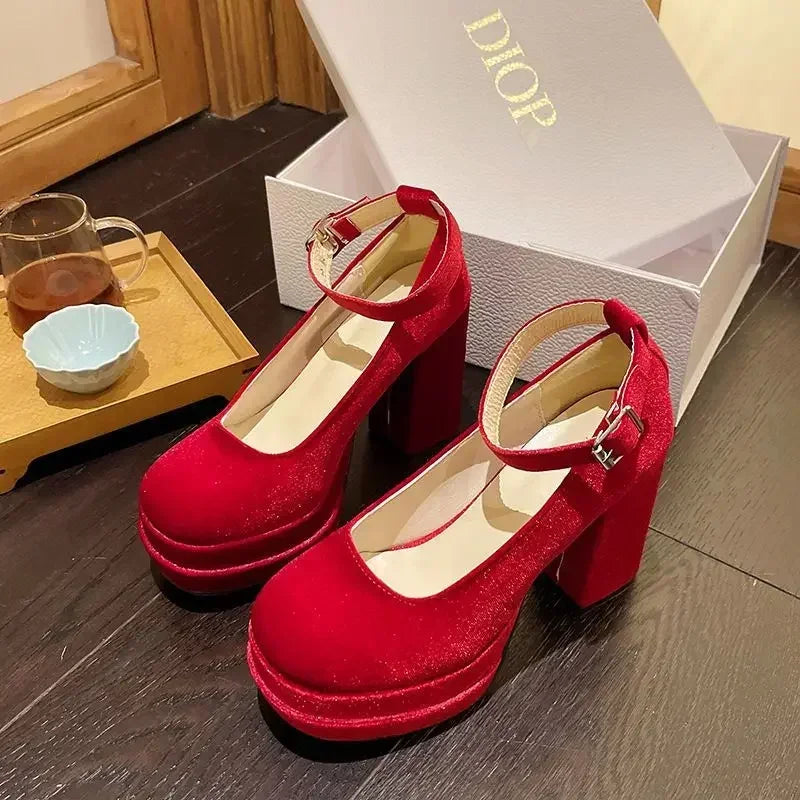 Platform Mary Janes Shoes Women Suede Luxury High Heel Lace Up Trend Lolita Shoes Elegant Chunky Party Pumps Zapatos De Mujer