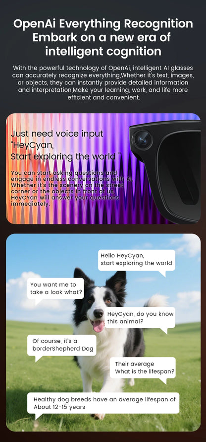 E02C Smart Glasses HD Photo Video Record OpenAI Real-time Translation Touch Photochromic Lenses Bluetooth Call Music Glasses