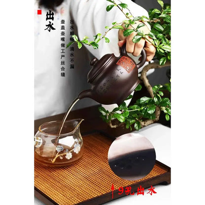 Zisha Teapot, Chinese Yixing Purple Clay Tea Pot 310cc,Chinese Kungfu Brew Infuser Loose Leaf Tea