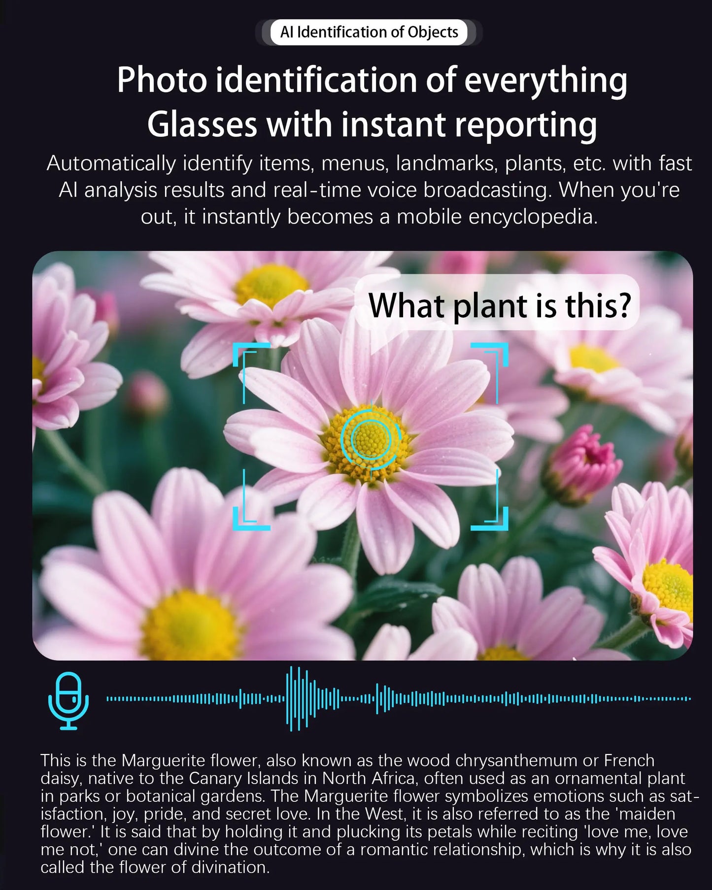 New AI Smart Glasses Camera 800W Bluetooth Sunglasses Women Photo Video Recording Dual Speaker Music Playback Smart Glasses Men