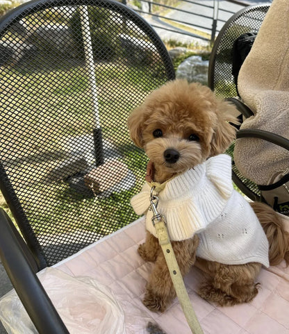 Luxury Pet Dog Cashmere Lotus Collar Knit Soft Wool Undercoat Cat Sweater Dog Clothes for Small Dogs Dog Winter Clothes Sweater