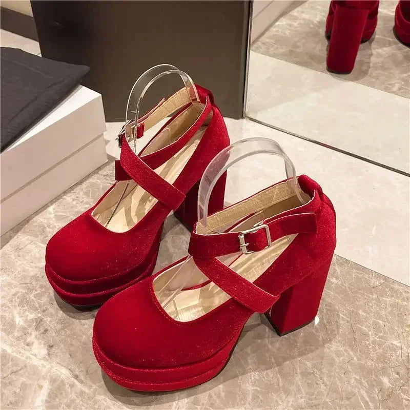 Platform Mary Janes Shoes Women Suede Luxury High Heel Lace Up Trend Lolita Shoes Elegant Chunky Party Pumps Zapatos De Mujer