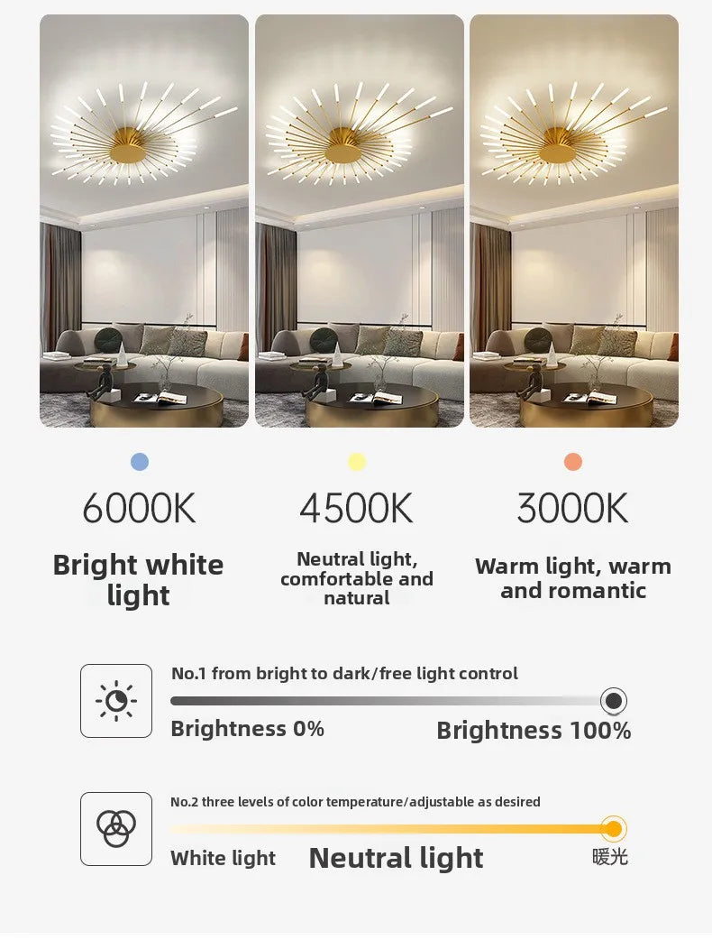 Nordic Ceiling Lighting for Living Room Bedroom Kitchen Led Ceiling Light Fixture Indoor Home Firework Decor Ceiling Lights