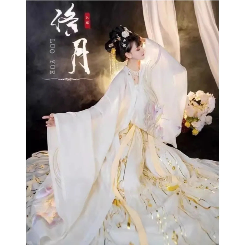 Vintage Party Fairy Dress Print Ethnic Style Stage Hanfu Dress Cosplay Costumes Traditional Chinese Clothing for Women Clothes