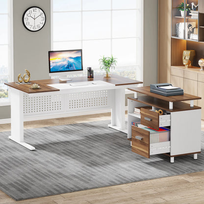 Tribesigns 63 Inch Executive Desk with File Cabinet, Large Office Desk L Shaped Computer Desk with Drawers and Storage Shelves