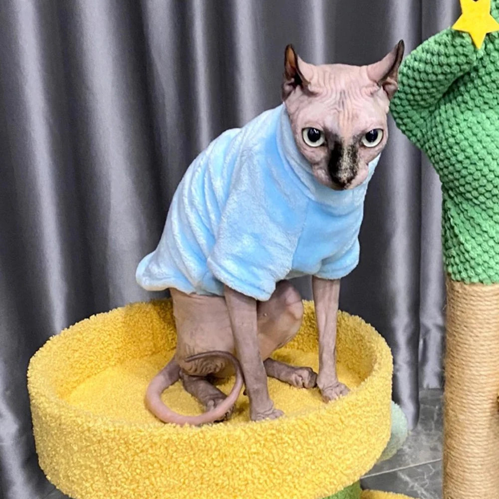 Soft Warm High Neck Fleece Pet Cat Hoodie Kitten Coat Sphynx Clothing without Hat for Cats Autumn Winter Pet Clothes Outfits