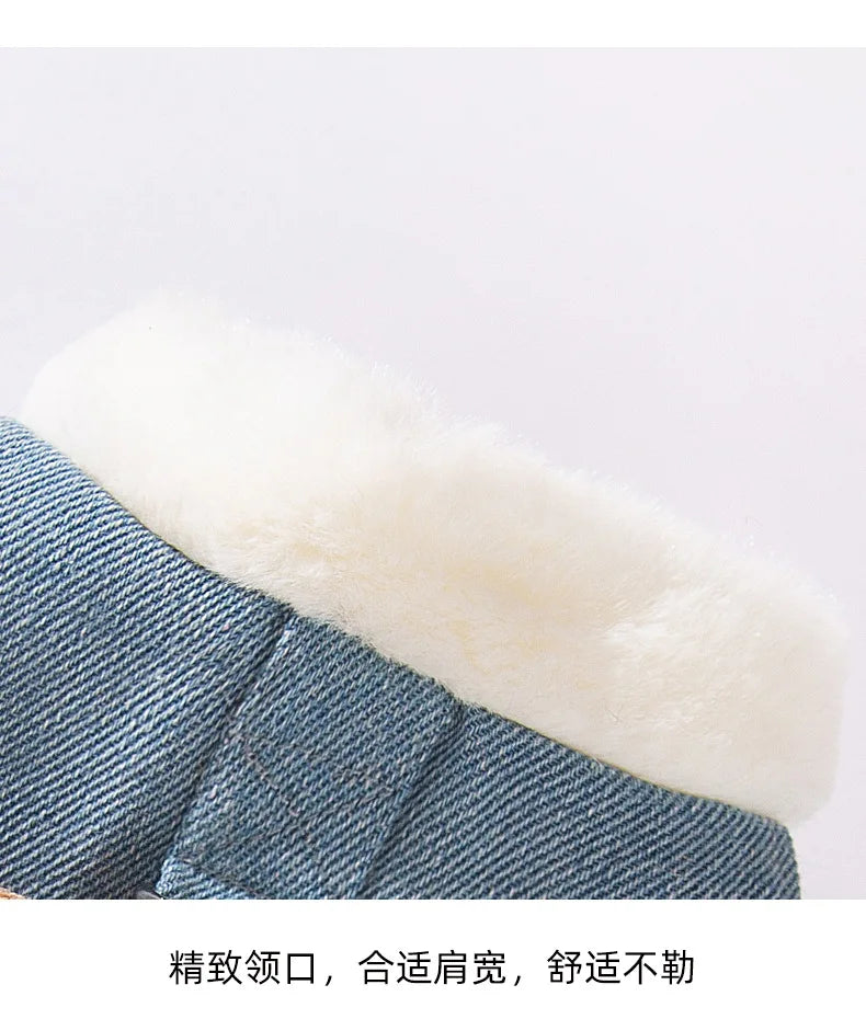 Cat autumn and winter thickened warm pocket three-dimensional bear denim traction vest small dog dog pet clothes