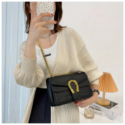 Fashion Printed Chain Shoulder Bag for Women, Trendy Small Square Crossbody, Travel Shopping Gift for Girlfriend