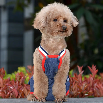 Washable Puppy Dog Diapers Female Pet Physiological Pants for Small Medium Dogs Chihuahua Pinscher Shorts Panties Cat Underpants