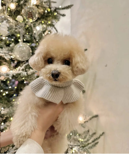 Luxury Pet Dog Cashmere Lotus Collar Knit Soft Wool Undercoat Cat Sweater Dog Clothes for Small Dogs Dog Winter Clothes Sweater