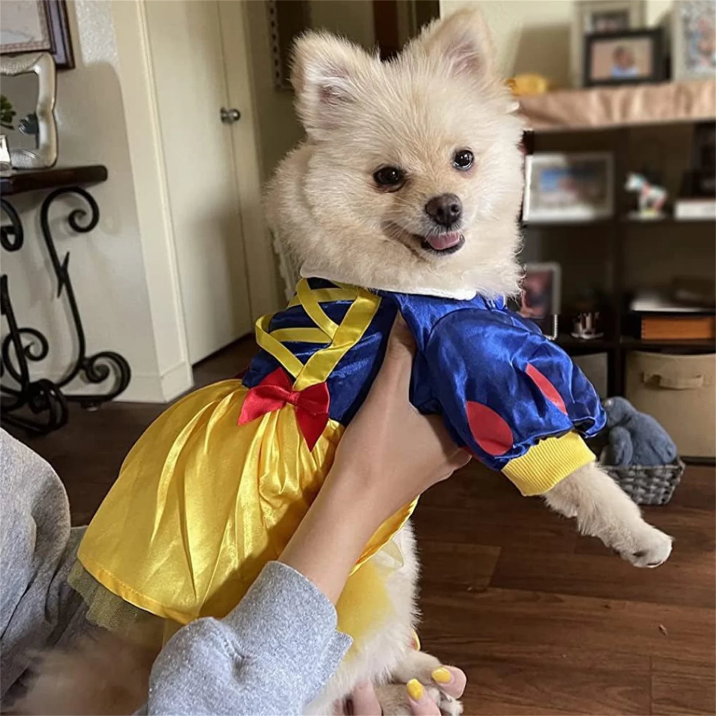 Princess Dog Costume Halloween Pet Costume Snow Princess Dress Cosplay Costume For Christmas Halloween Holiday Party Special