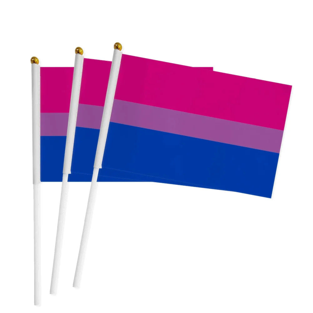 Hand Flag 100pcs 14x21cm Dream SMP Flag Gay Lesbian Homosexual Bisexual LGBT Pride Flag Customized Rainbow Hand Flag