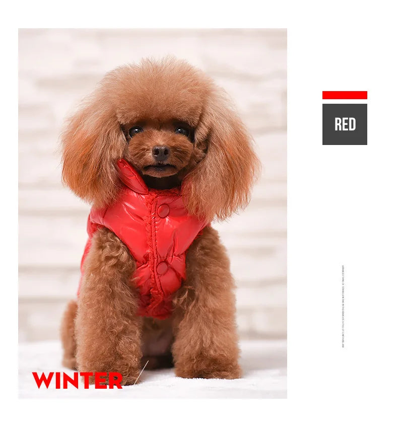 Winter Pet Dog Down Coat Fleece Warm Inside Candy Color Pet Down Warm Coat Puppy Down Clothes Winter Clothes Clothing XS-3XL