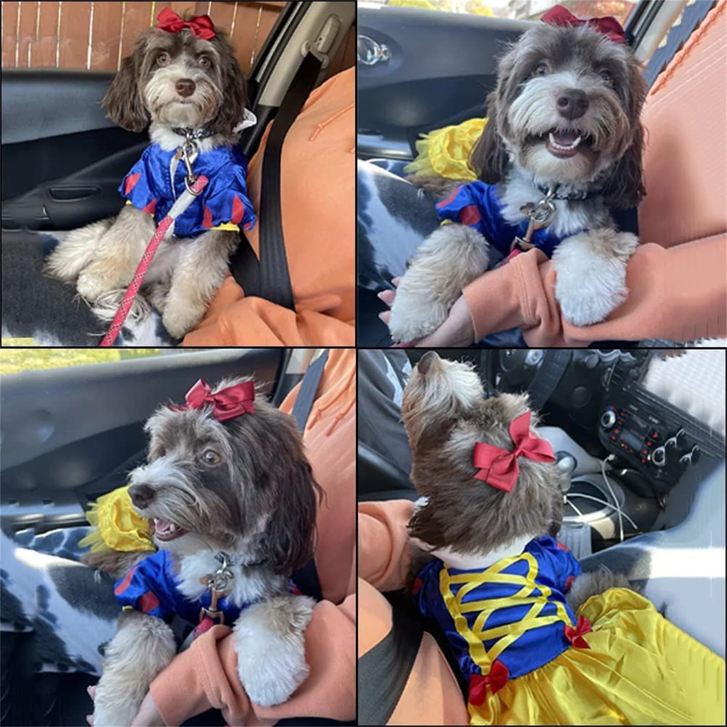 Princess Dog Costume Halloween Pet Costume Snow Princess Dress Cosplay Costume For Christmas Halloween Holiday Party Special