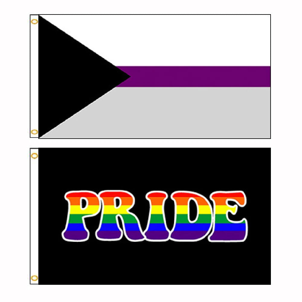 FLAGLINK 90x150cm Gay Pride Demi-asexual Flag LGBT For Decoration