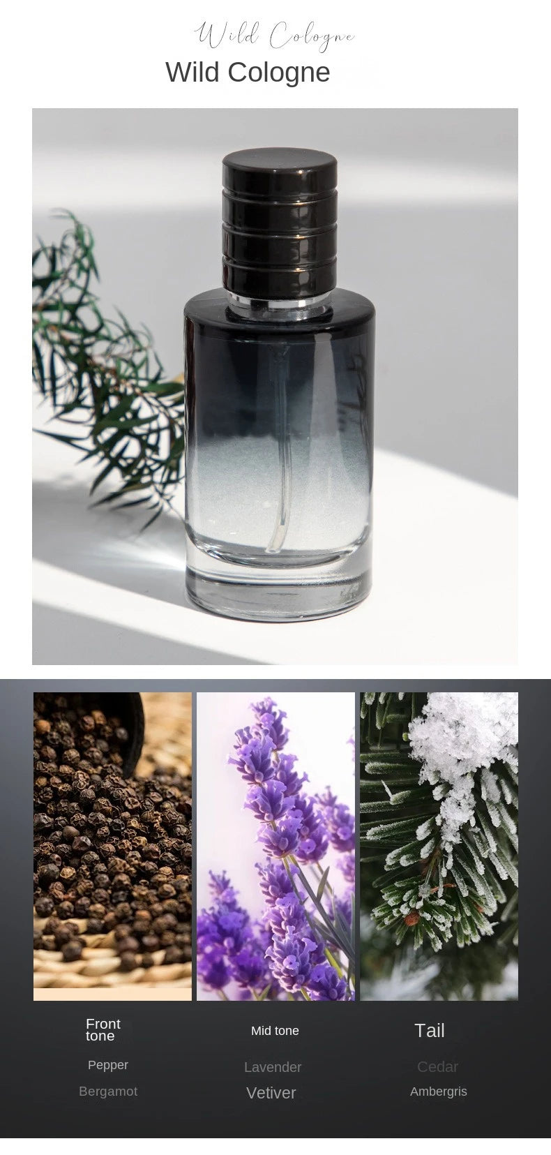 Luxury Brand Perfume Men Cologne Man Parfums Homme 120ml Hombre Perfumes Masculinos Gift Box 4Pcs Set Plant Floral Scent Spray