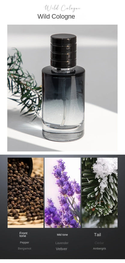 Luxury Brand Perfume Men Cologne Man Parfums Homme 120ml Hombre Perfumes Masculinos Gift Box 4Pcs Set Plant Floral Scent Spray