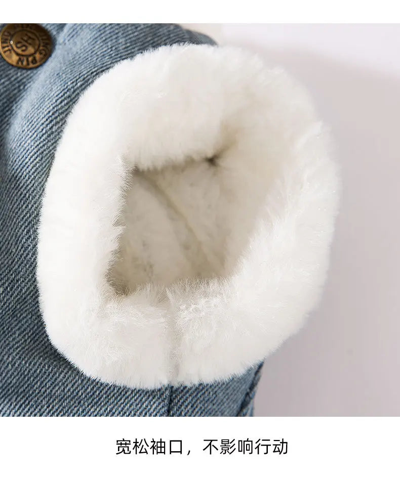 Cat autumn and winter thickened warm pocket three-dimensional bear denim traction vest small dog dog pet clothes