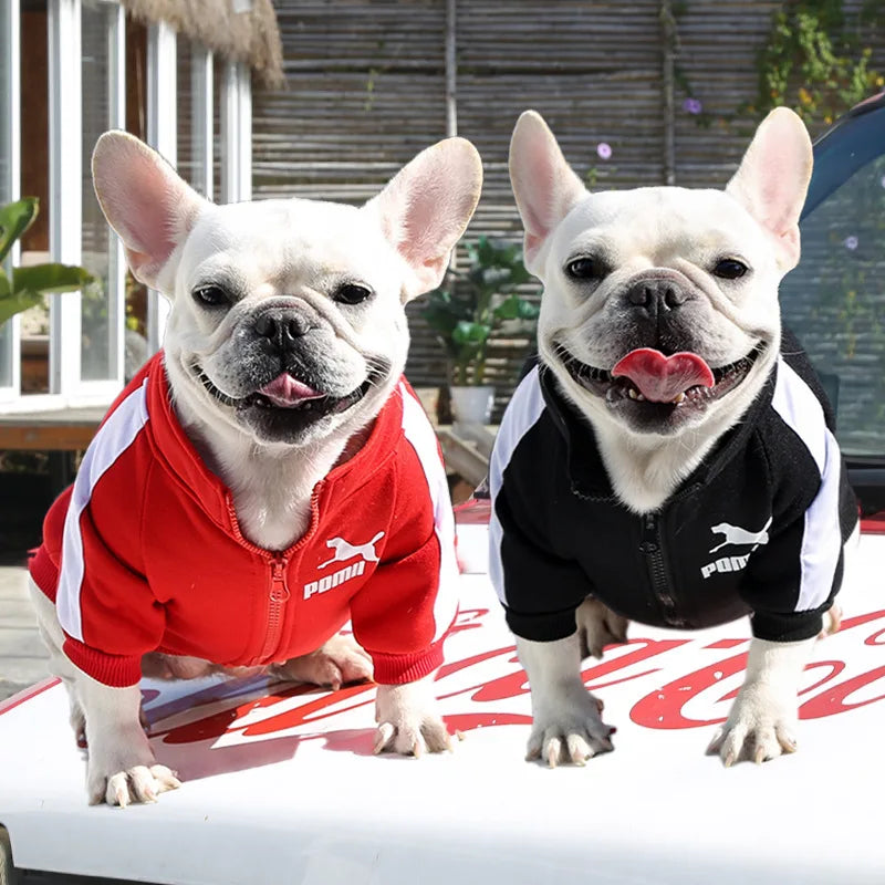 Manufacturer Customizes Pet Clothes for Autumn and Winter, Warm Trendy Brand Sweatshirts with Letters for Dogs and Cats, Small, Medium and Large Dog Supplies